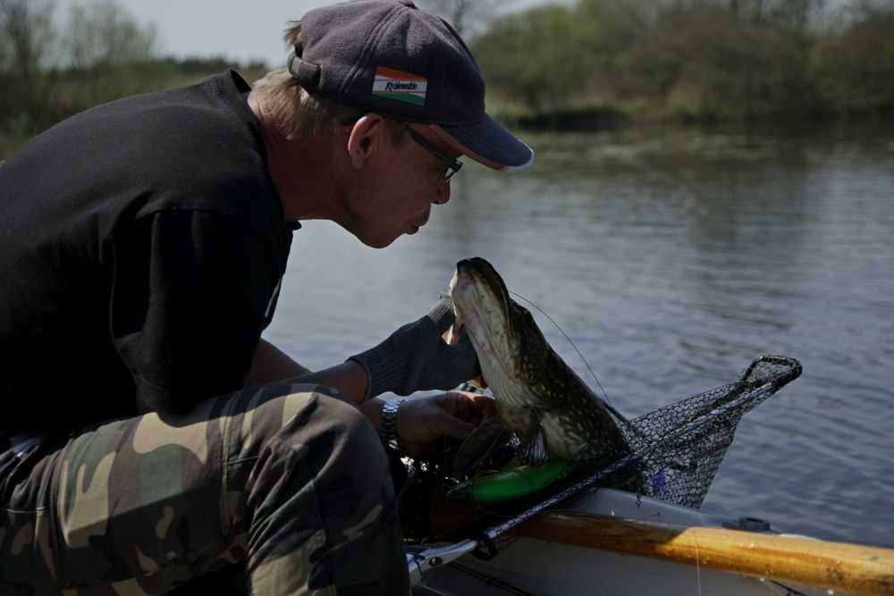 Szczupacza alternatywa